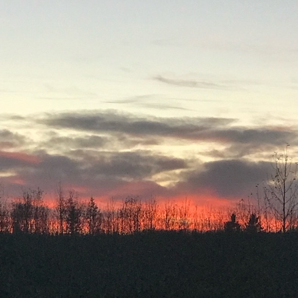 Meet your Posher, Danica - Picture 1 of 1